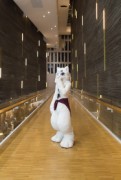 NordicFuzzCon 2023