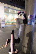 NordicFuzzCon 2023