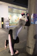 NordicFuzzCon 2023