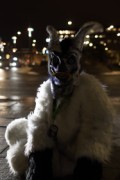 NordicFuzzCon 2023