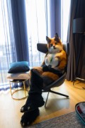 NordicFuzzCon 2023