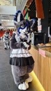 NordicFuzzCon 2023