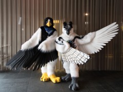 NordicFuzzCon 2023