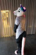 NordicFuzzCon 2023