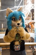 NordicFuzzCon 2023