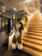 NordicFuzzCon 2023