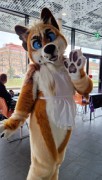 NordicFuzzCon 2023