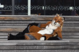 NordicFuzzCon 2023