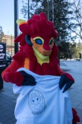 NordicFuzzCon 2023