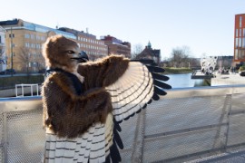 NordicFuzzCon 2023