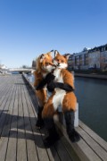 NordicFuzzCon 2023