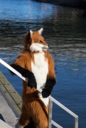 NordicFuzzCon 2023