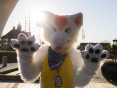 NordicFuzzCon 2023