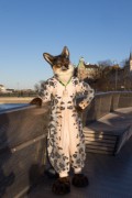NordicFuzzCon 2023
