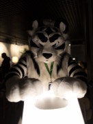 NordicFuzzCon 2023