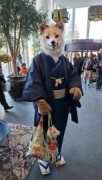 NordicFuzzCon 2025