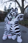 NordicFuzzCon 2025