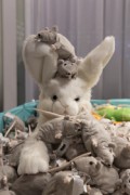NordicFuzzCon 2025