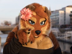 NordicFuzzCon 2025