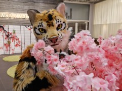 NordicFuzzCon 2025