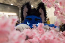NordicFuzzCon 2025