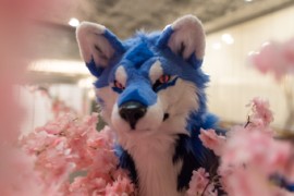 NordicFuzzCon 2025