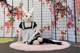 NordicFuzzCon 2025