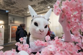 NordicFuzzCon 2025