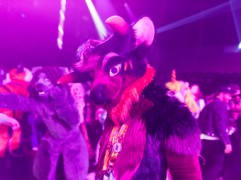 NordicFuzzCon 2025