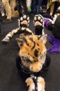NordicFuzzCon 2025