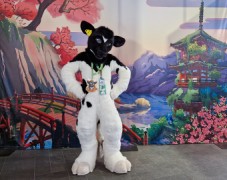 NordicFuzzCon 2025
