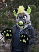 NordicFuzzCon 2025