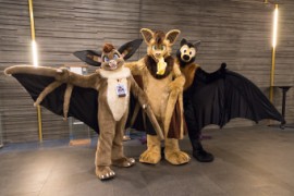 NordicFuzzCon 2025