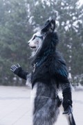 NordicFuzzCon 2025