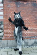 NordicFuzzCon 2025