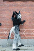 NordicFuzzCon 2025