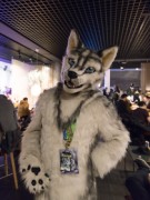 NordicFuzzCon 2025