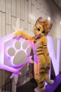 NordicFuzzCon 2025