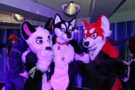 Northern Lights Furdance 2017
