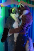 Northern Lights Furdance 2018