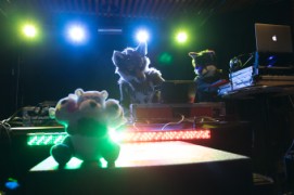 Northern Lights Furdance 2023