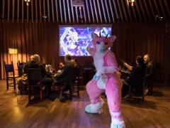 Northern Lights Furdance 2023