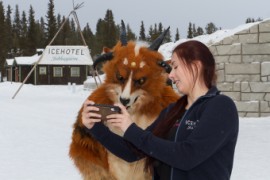 Furry northern Sweden trip