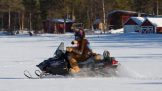 Furry northern Sweden trip