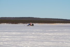 Furry northern Sweden trip