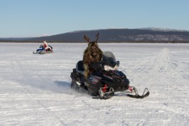 Furry northern Sweden trip