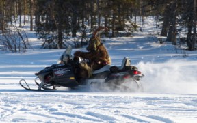 Furry northern Sweden trip