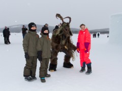 Furry northern Sweden trip