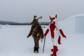 Furry northern Sweden trip