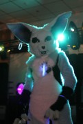 ScotiaCon 2011